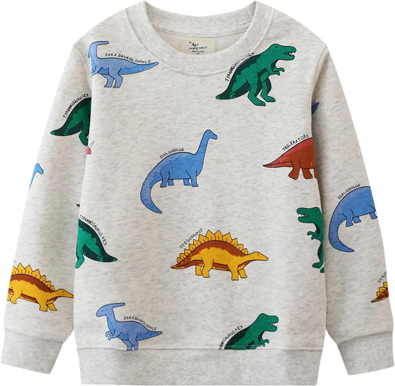 LOKTARC 2 Pack Toddler Boys Sweatshirts Patterned Long Sleeve Pullover Crewneck Tops Shirts