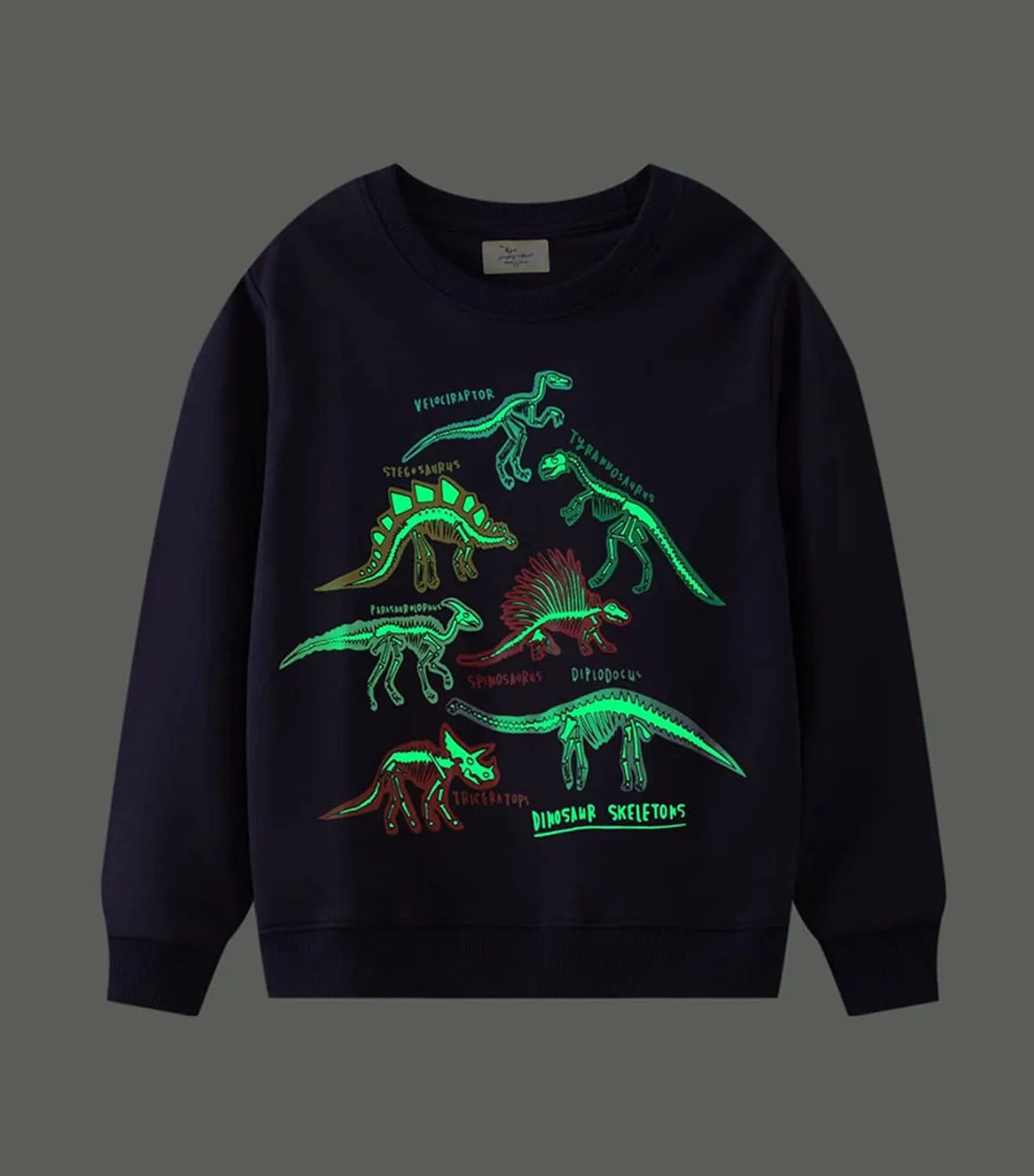 LOKTARC 2 Pack Toddler Boys Sweatshirts Patterned Long Sleeve Pullover Crewneck Tops Shirts