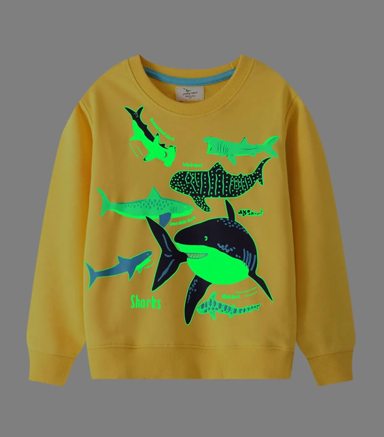 LOKTARC 2 Pack Toddler Boys Sweatshirts Patterned Long Sleeve Pullover Crewneck Tops Shirts