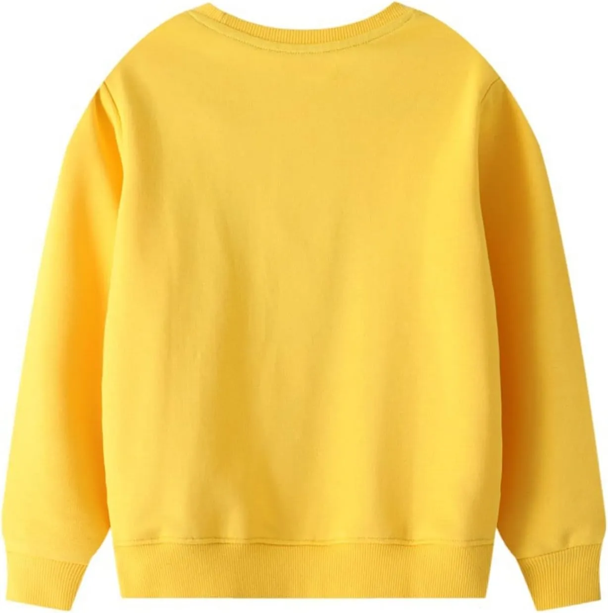 LOKTARC 2 Pack Toddler Boys Sweatshirts Patterned Long Sleeve Pullover Crewneck Tops Shirts