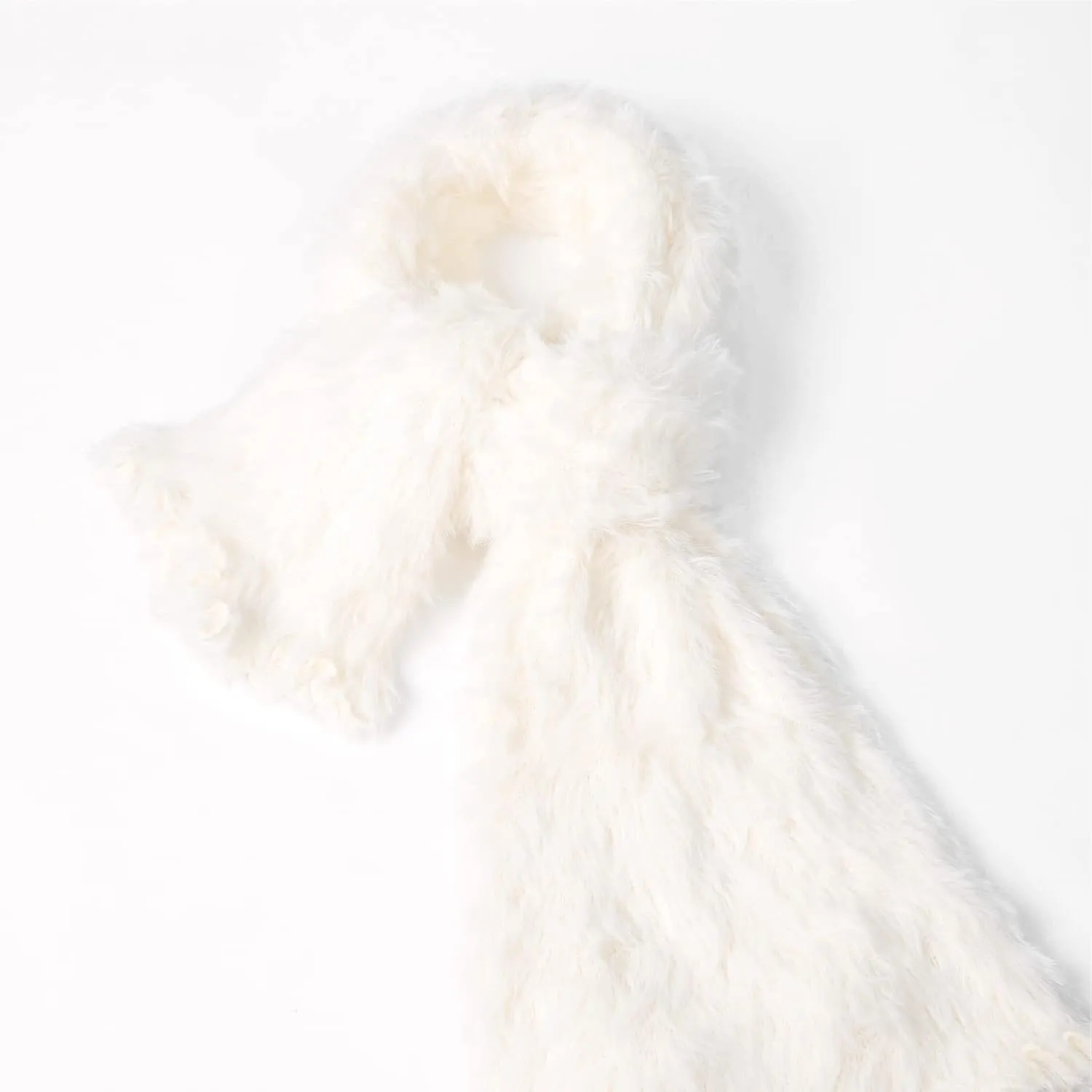 ONE Scarf: Faux Fur Infinity Scarfs or Shawl Wraps for Women Winter Warm, Soft & Fluffy Scarf in Gift Box